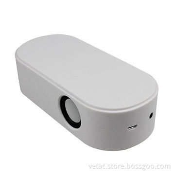Induction Speaker for Smart Phone